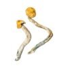 Buy Ecuadorian Magic Mushrooms