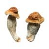 Buy Melmac (Homestead Penis Envy) Magic Mushrooms