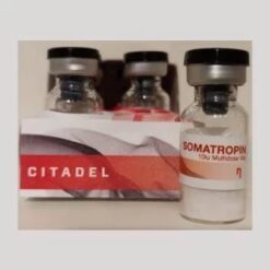 Buy Citadel Somatropin 10iu